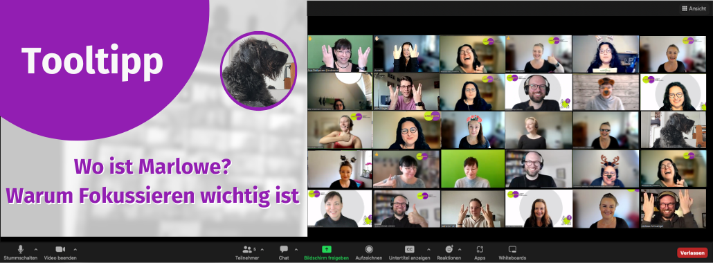 Der Screenshot eines Zoom-Meetings zeigt viele lächelnde Teilnehmer mit einem Bild eines Hundes. Auf der linken Seite steht in einem lila Kasten: "Tooltipp" und "Wo ist Marlowe? Warum Fokussieren wichtig ist."
